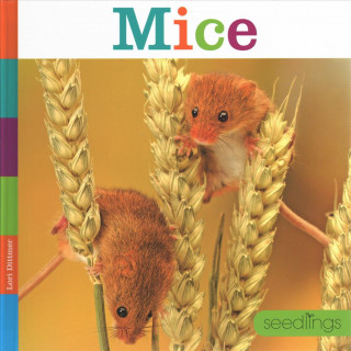 Book Mice Lori Dittmer