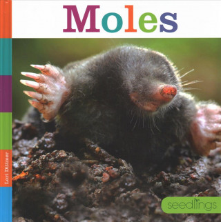 Kniha Moles Lori Dittmer