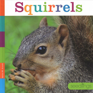 Libro Squirrels Quinn M Arnold