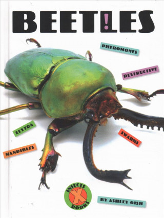 Boek Beetles Ashley Gish
