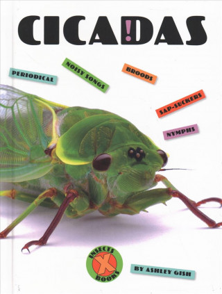Libro Cicadas Ashley Gish