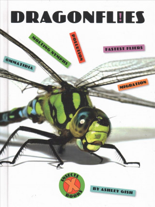 Libro Dragonflies Ashley Gish