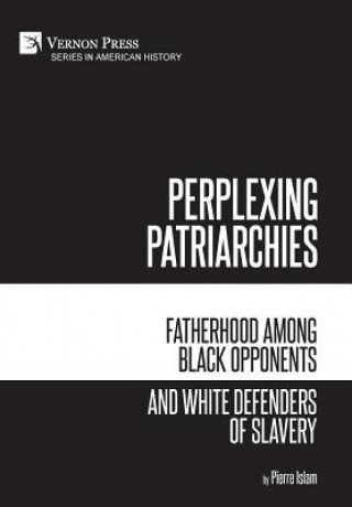 Kniha Perplexing Patriarchies: Fatherhood Among Black Opponents and White Defenders of Slavery Pierre Islam