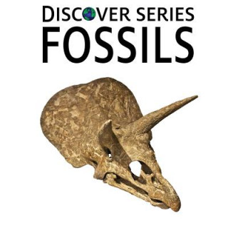 Książka Fossils XIST PUBLISHING