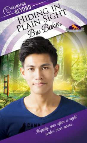 Boek Hiding in Plain Sight Bru Baker