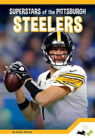 Kniha Pittsburgh Steelers M K Osborne