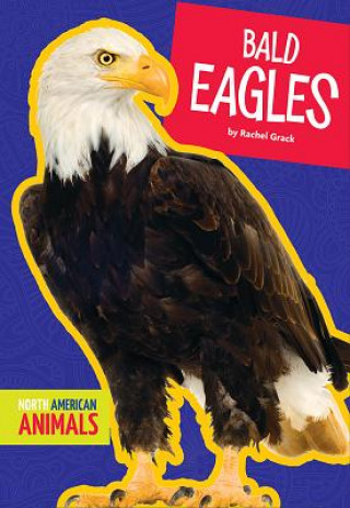 Kniha Bald Eagles Rachel A Koestler-Grack