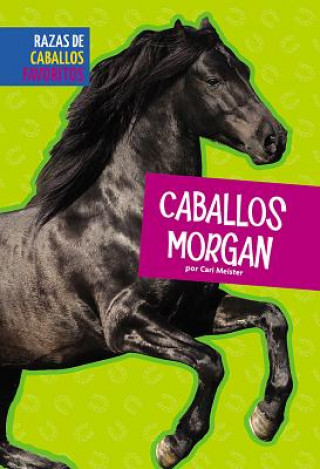 Βιβλίο Caballos Morgan Cari Meister