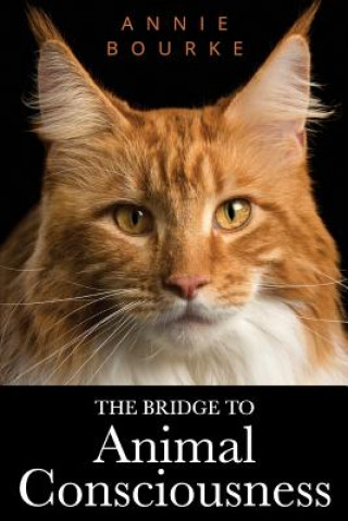 Kniha The Bridge To Animal Consciousness Annie Bourke