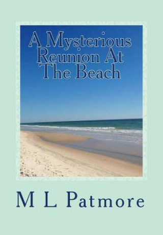Carte A Mysterious Reunion At The Beach: A Florida Coastal Fishing Village Mystery Book Two M L Patmore