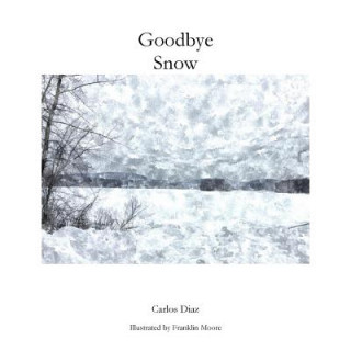 Knjiga Goodbye Snow Mr Carlos Ramon Diaz
