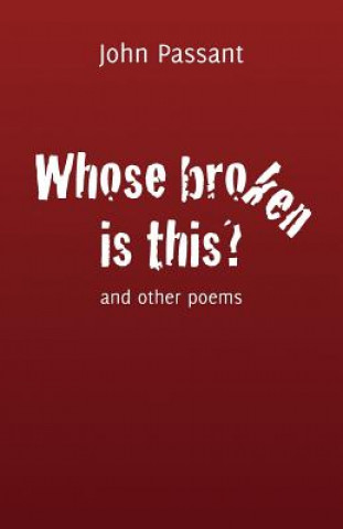 Knjiga Whose broken is this? JOHN PASSANT