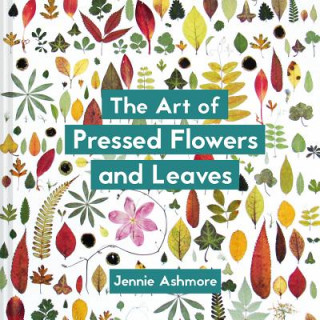 Kniha Art of Pressed Flowers and Leaves Jennie Ashmore