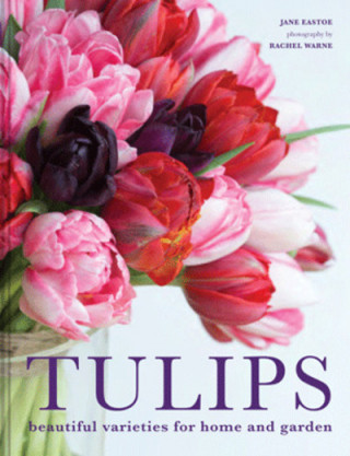 Kniha Tulips Rachel Warne