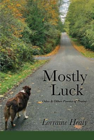 Kniha Mostly Luck Lorraine Healy