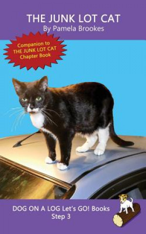 Könyv Junk Lot Cat Pamela Brookes