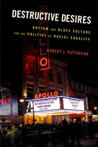 Knjiga Destructive Desires Robert J. Patterson
