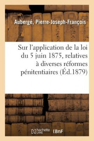 Kniha Considerations Generales Sur l'Application de la Loi Du 5 Juin 1875 Auberge