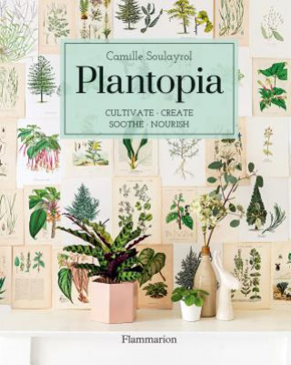 Książka Plantopia Camille Soulayrol