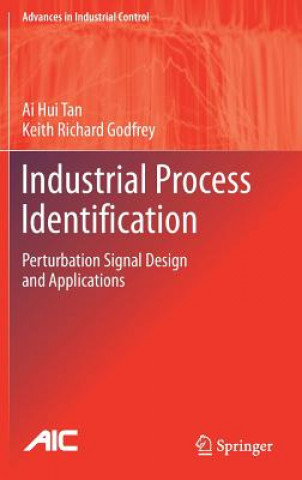Knjiga Industrial Process Identification Ai Hui Tan