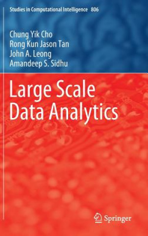 Knjiga Large Scale Data Analytics Chung Yik Cho