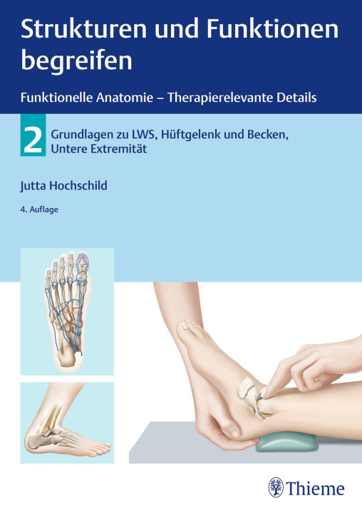 Kniha Strukturen und Funktionen begreifen - Funktionelle Anatomie. Bd.2 Jutta Hochschild