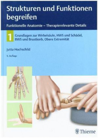 Könyv Strukturen und Funktionen begreifen, Funktionelle Anatomie - Therapierelevante Details. Bd.1 Jutta Hochschild