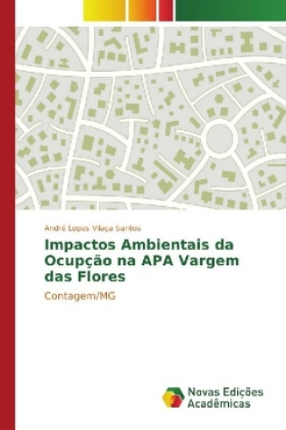 Carte Impactos Ambientais da Ocupção na APA Vargem das Flores André Lopes Vilaça Santos