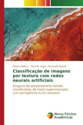Kniha Classificação de imagens por textura com redes neurais artificiais Adriano Beluco