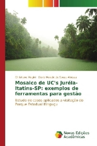 Könyv Mosaico de UC's Juréia-Itatins-SP: exemplos de ferramentas para gestão Christiano Magini