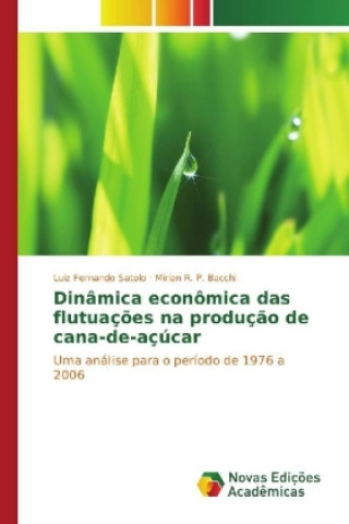 Könyv Dinâmica econômica das flutuações na produção de cana-de-açúcar Luiz Fernando Satolo
