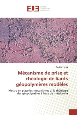 Knjiga Mécanisme de prise et rhéologie de liants géopolymères modèles Aurélie Favier