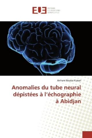 Kniha Anomalies du tube neural dépistées à l'échographie à Abidjan Anhum Nicaise Konan