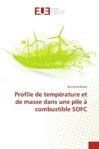 Knjiga Profile de température et de masse dans une pile à combustible SOFC Hocine Mahcene