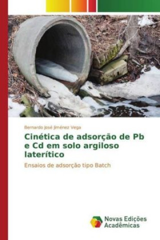 Könyv Cinética de adsorção de Pb e Cd em solo argiloso laterítico Bernardo José Jiménez Vega