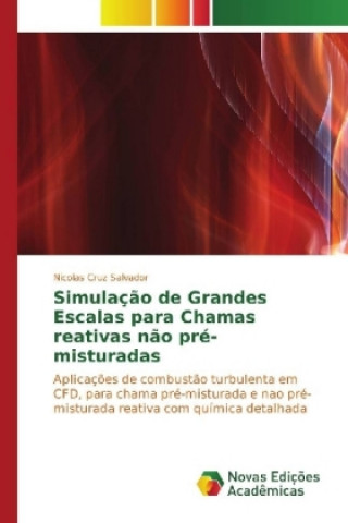 Carte Simulação de Grandes Escalas para Chamas reativas não pré-misturadas Nicolas Cruz Salvador