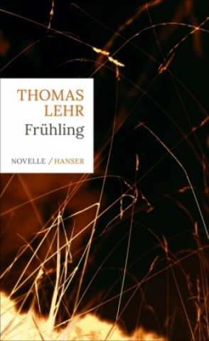 Книга Frühling Thomas Lehr