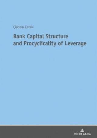 Könyv Bank Capital Structure and Procyclicality of Leverage Ciydem Catak