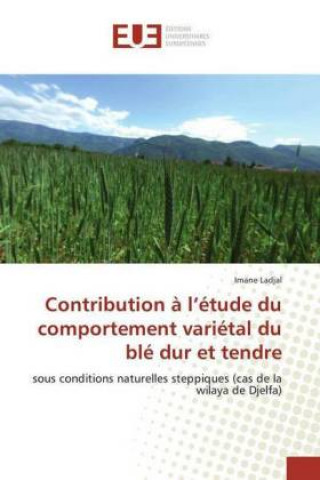 Kniha Contribution à l'étude du comportement variétal du blé dur et tendre Imane Ladjal