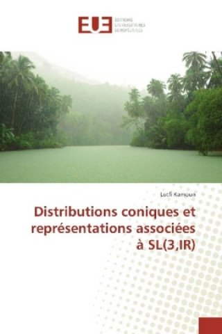 Knjiga Distributions coniques et représentations associées à SL(3,IR) Lotfi Kamoun