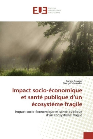 Könyv Impact socio-économique et santé publique d'un écosystème fragile Aurore Assaker