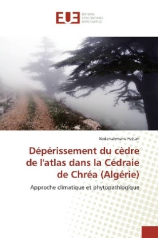 Könyv Dépérissement du cèdre de l'atlas dans la Cédraie de Chréa (Algérie) Abderrahmane Fettah