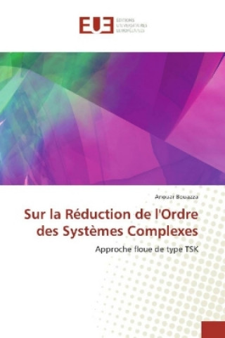 Kniha Sur la Réduction de l'Ordre des Systèmes Complexes Anouar Bouazza
