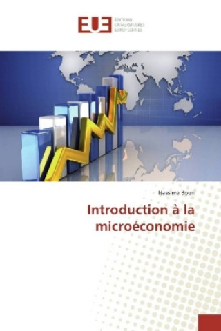 Buch Introduction à la microéconomie Nassima Bouri