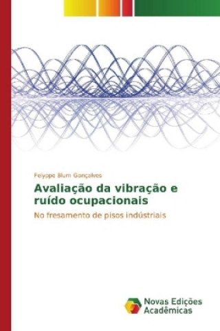 Könyv Avaliação da vibração e ruído ocupacionais Felyppe Blum Gonçalves