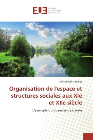 Livre Organisation de l'espace et structures sociales aux XIe et XIIe siècle Michel Pecha-Soulez