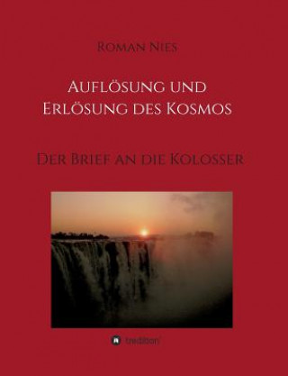 Knjiga Auflösung und Erlösung des Kosmos Roman Nies