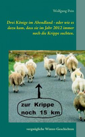 Kniha Drei Koenige im Abendland - oder wie es dazu kam, dass sie im Jahr 2012 immer noch die Krippe suchten. Wolfgang Pein