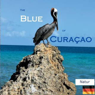 Kniha Blue of Curacao Elke Verheugen