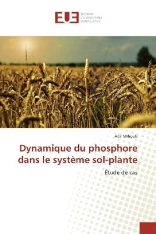 Carte Dynamique du phosphore dans le système sol-plante Adil Mihoub